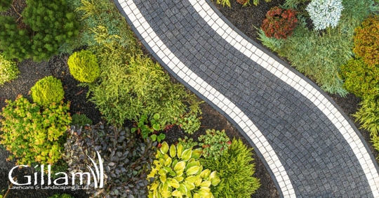 Lush Garden Landscape With Curved Pathway