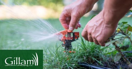 Close-up of a hand adjusting a sprinkler watering the lawn