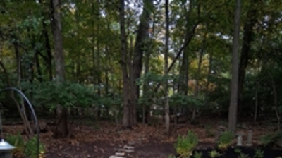 After Photo